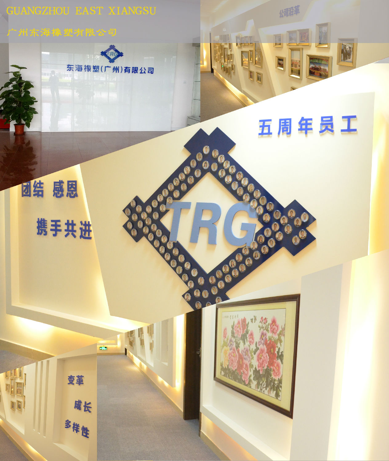 东海办公室国产免费叼嘿网站免费.jpg